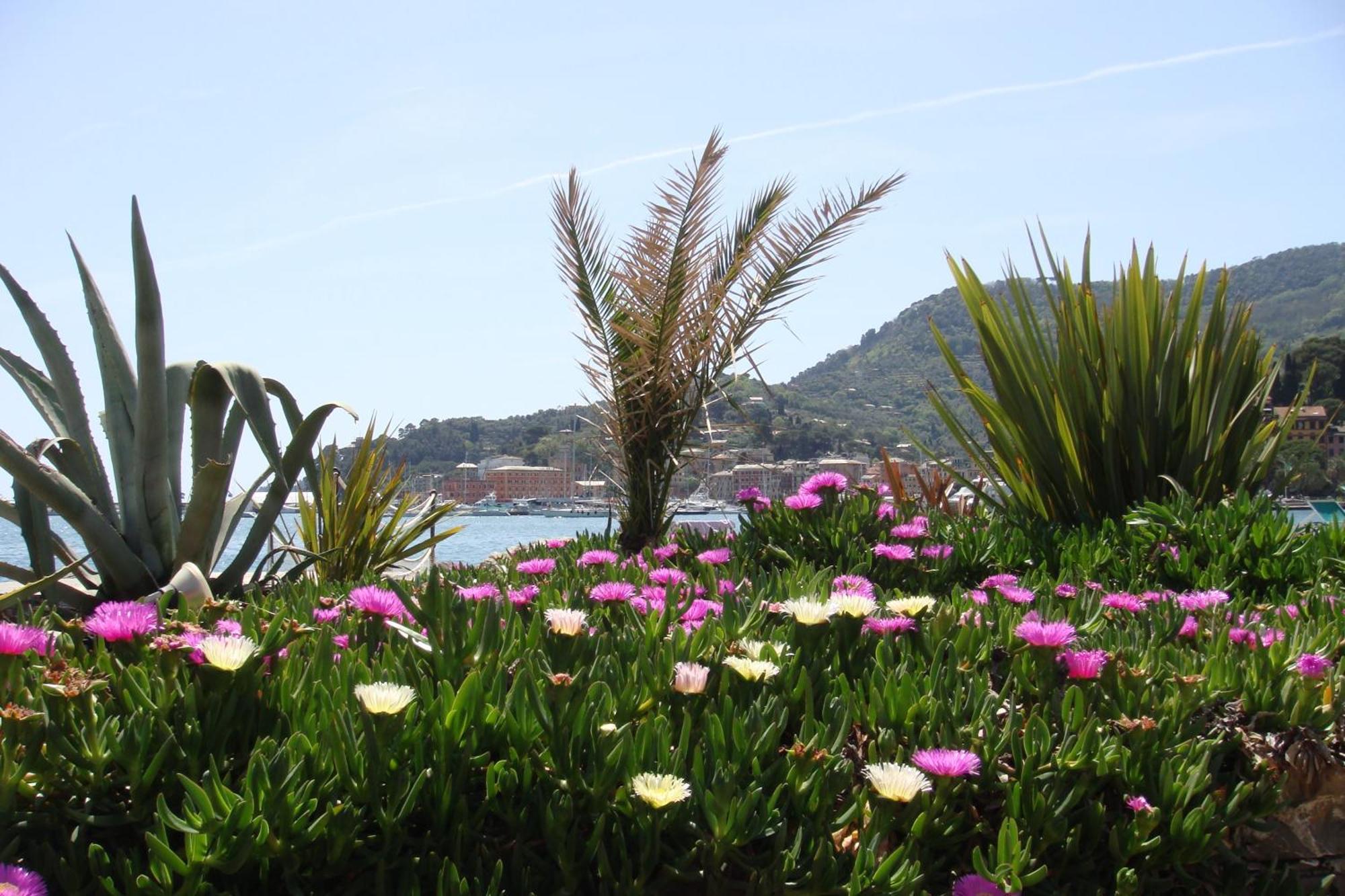 Hotel Helios Santa Margherita Ligure